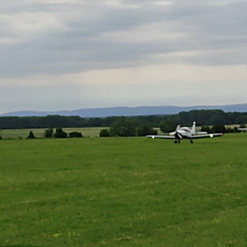 vlek-v-kyjove_1_1686645971 (1).jpg